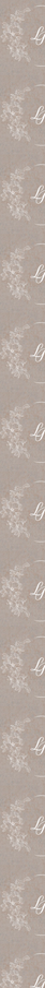 Side-bg
